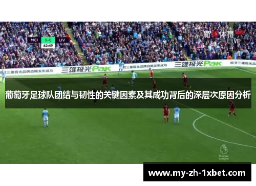 葡萄牙足球队团结与韧性的关键因素及其成功背后的深层次原因分析 葡萄牙足球队团结与韧性的关键因素及其成功背后的深层次原因分析