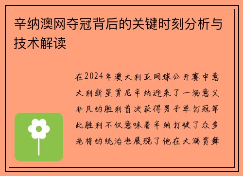 辛纳澳网夺冠背后的关键时刻分析与技术解读