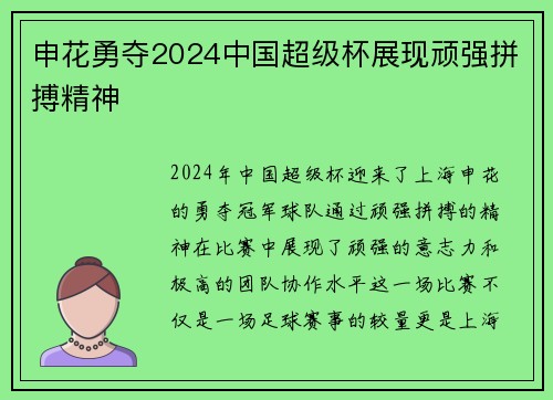 申花勇夺2024中国超级杯展现顽强拼搏精神